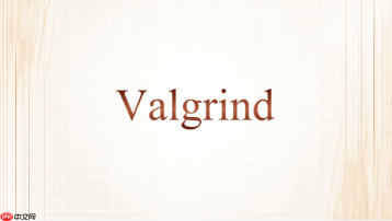 Valgrind Memcheck里的Invalid read怎么定位