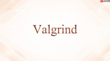 Valgrind检查未初始化值常用参数怎么组合