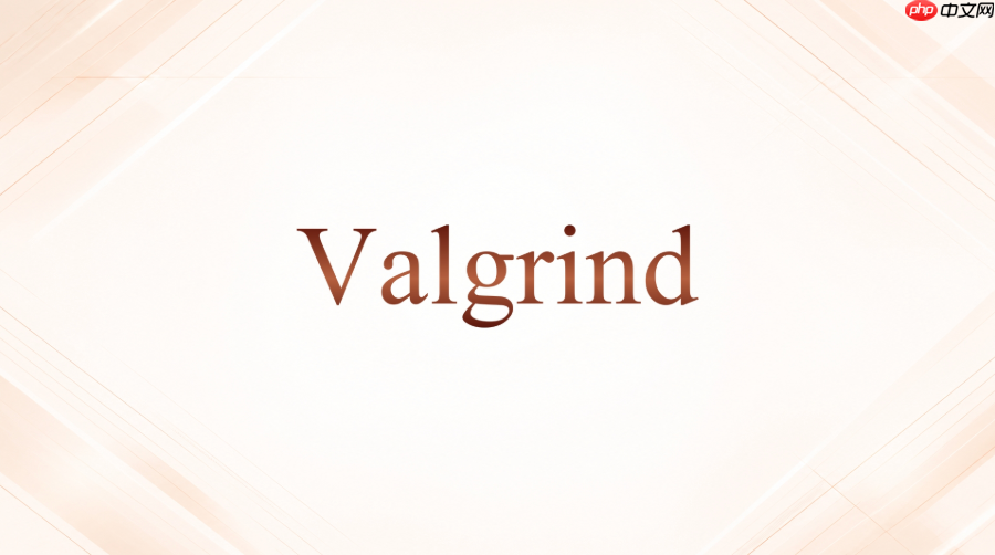 valgrind检查未初始化值常用参数怎么组合