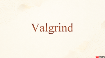 valgrind想看完整报告应该加哪些参数