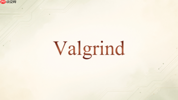 Valgrind怎么只看某个模块附近的报错