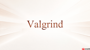 valgrind怎么查程序退出前最后的内存访问