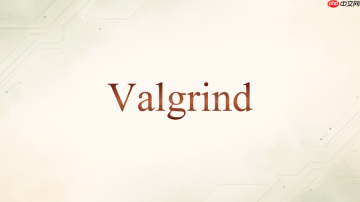 Valgrind Helgrind怎么检查解锁顺序问题