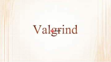 Valgrind报告里的内存地址有什么参考价值