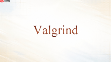 valgrind memcheck怎么确认报错对应哪一行