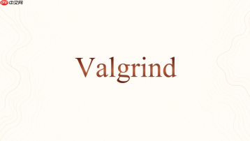 Valgrind Massif怎么用ms_print读报告