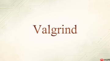 Valgrind Memcheck能不能放到自动测试里