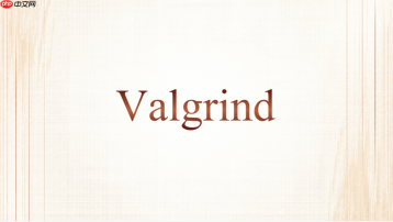 Valgrind Memcheck怎么屏蔽已确认的提示