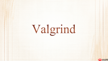 valgrind memcheck怎么屏蔽已确认的提示