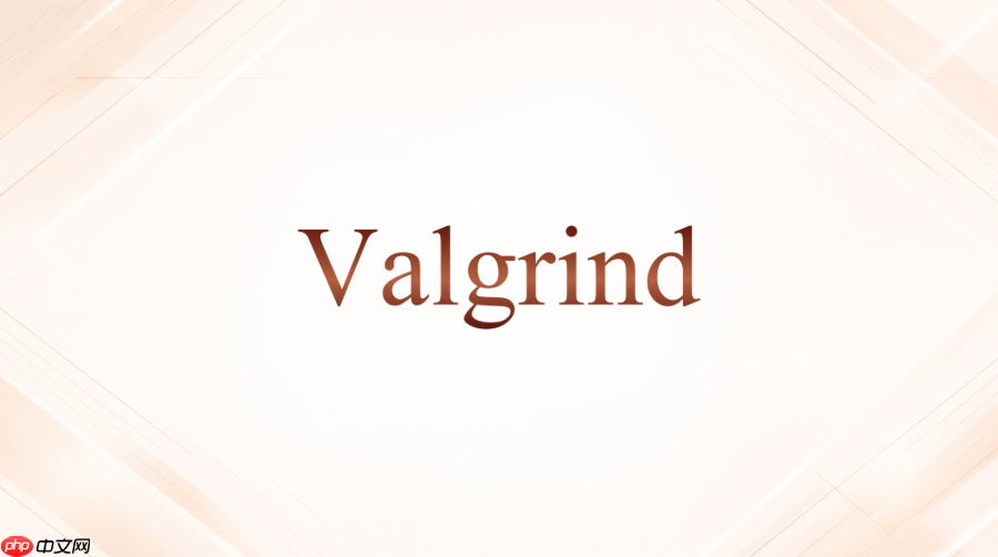 valgrind怎么先找到最大的泄漏点