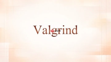 Valgrind的--free-fill适合查什么