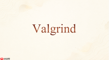 Valgrind怎么生成可视化分析文件