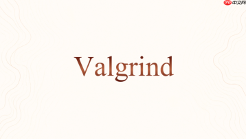 valgrind怎么把常用参数写进脚本