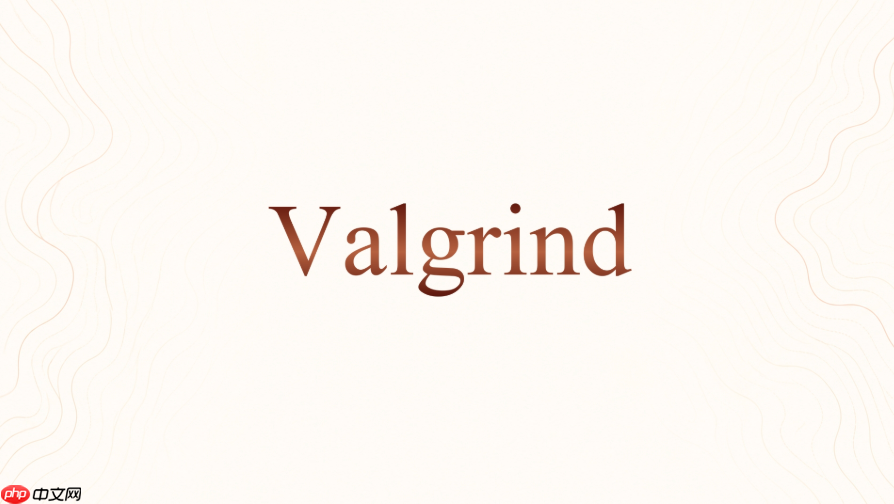 valgrind的--error-limit关掉有什么用