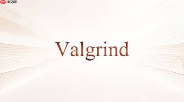 Valgrind Memcheck怎么发现读写越界