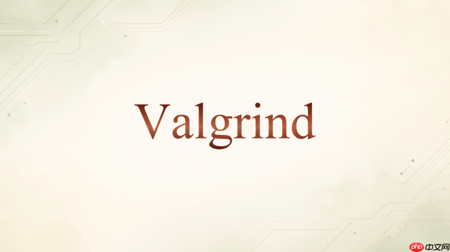 valgrind massif怎么分析批处理任务占内存