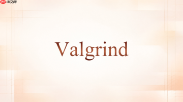 Valgrind怎么判断是不是变量没初始化