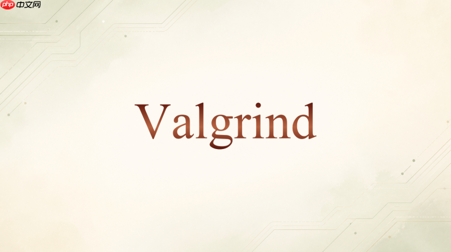 valgrind怎么发现异常分支没有释放资源