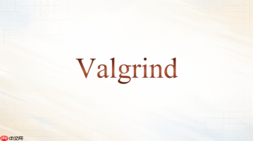 Valgrind Helgrind加锁后怎么验证是否修好