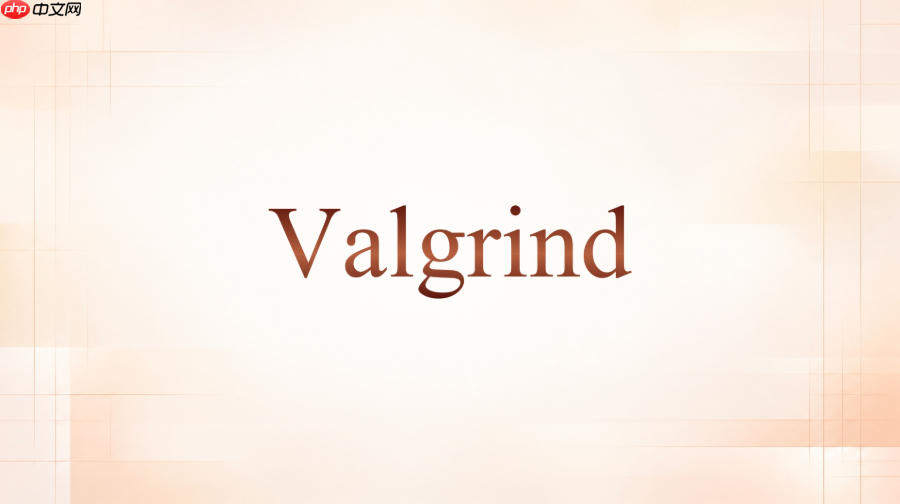 valgrind怎么整理错误报告方便复现