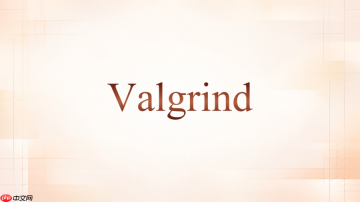 Valgrind运行带参数程序时命令怎么写