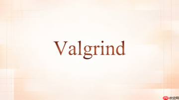 valgrind运行带参数程序时命令怎么写