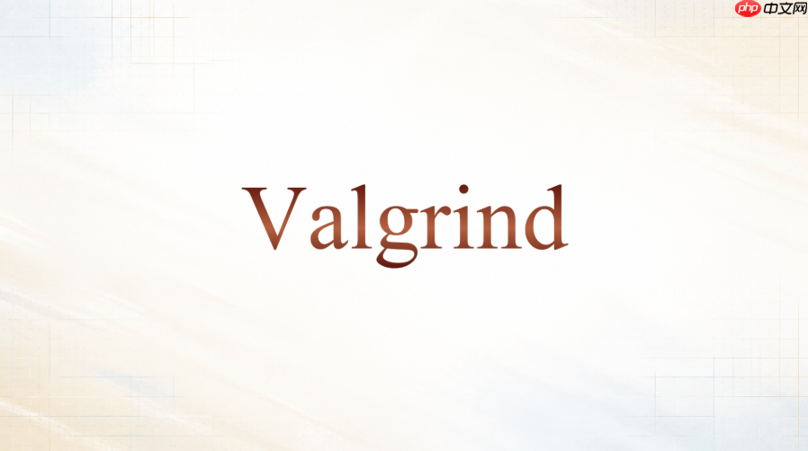 valgrind怎么排查内存池带来的问题