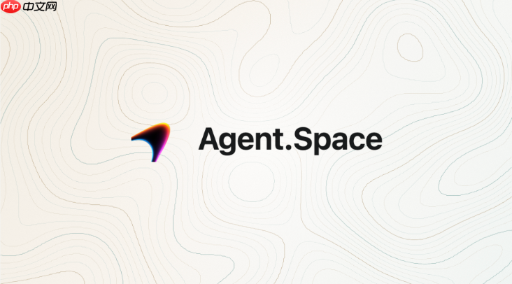 agent space viewer权限是什么