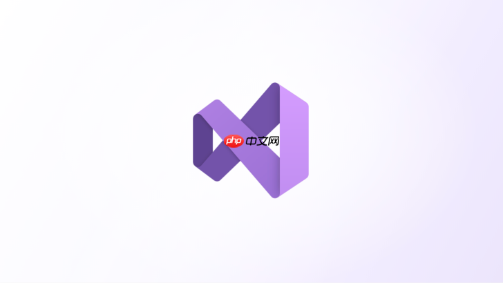 visual studio企业级c#开发流程介绍