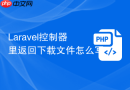 Laravel控制器里返回下载文件怎么写