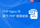 PHP Nginx 环境下 PHP 报错被隐藏怎么办
