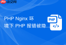 php nginx 环境下 php 报错被隐藏怎么办