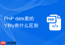 php date里的y和y有什么区别