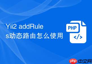 yii2 addrules动态路由怎么使用