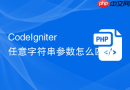 codeigniter任意字符串参数怎么匹配