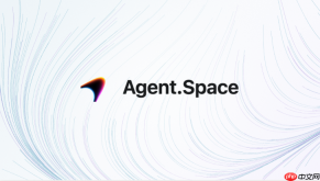 agent space api环境变量怎么配置
