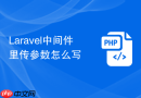 Laravel中间件里传参数怎么写