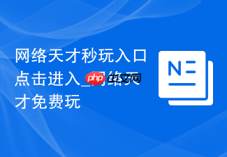 网络天才秒玩入口点击进入_网络天才免费玩