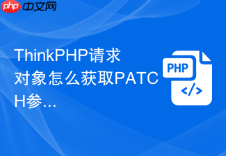 thinkphp请求对象怎么获取patch参数