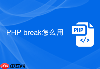 php break怎么用