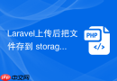 Laravel上传后把文件存到 storage 怎么写