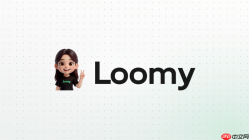 Loomy如何自动分类整理文件资料