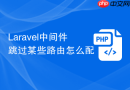 laravel中间件跳过某些路由怎么配