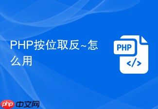 php按位取反~怎么用