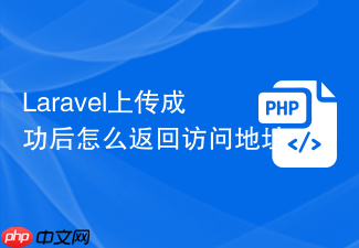 laravel上传成功后怎么返回访问地址