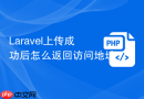 laravel上传成功后怎么返回访问地址