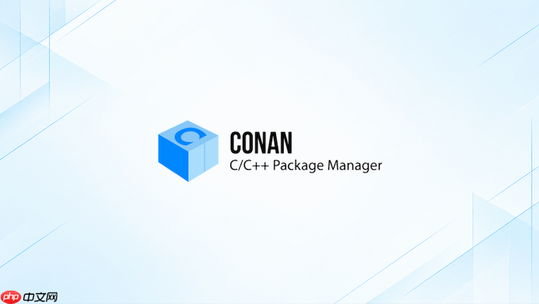 conan profile里options适合放什么