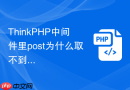 ThinkPHP中间件里post为什么取不到值