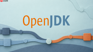 OpenJDK怎么从堆转储里找到异常持有的对象