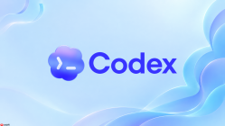 Codex项目自动化适合先做哪些任务